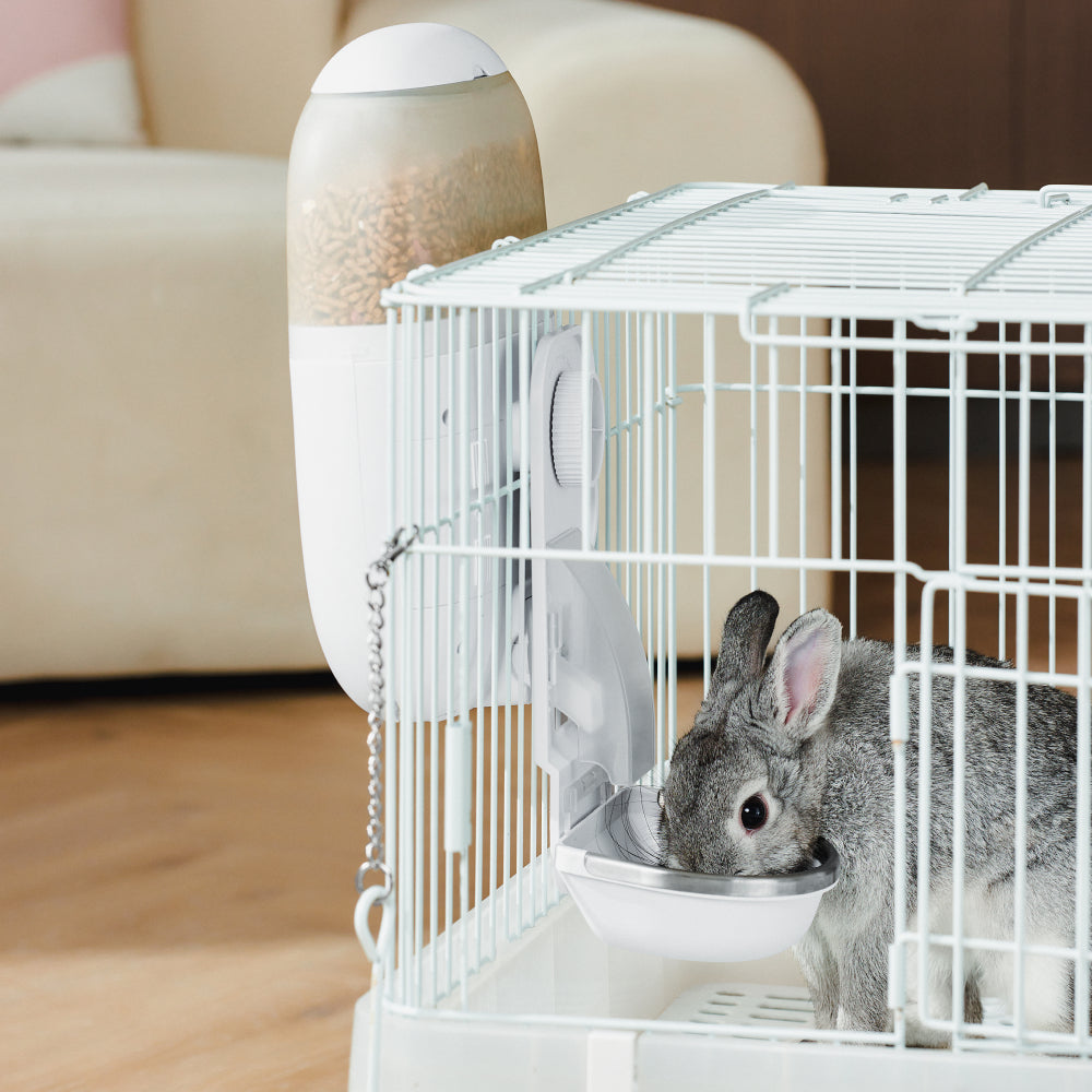 Mangeoire avec caméra Hoppy pour petits animaux