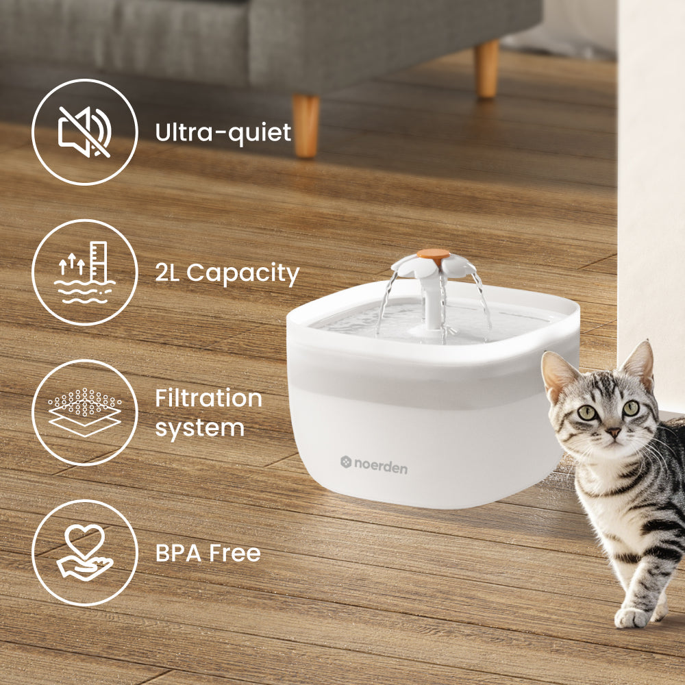 PawQuench Pet Water Dispenser