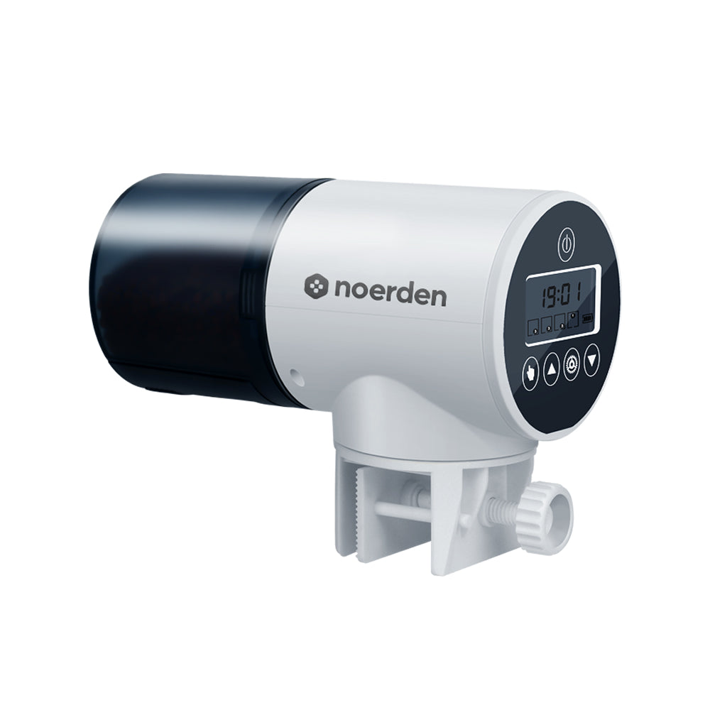 Distributeur automatique de nourriture pour poissons Bubbly avec écran numérique