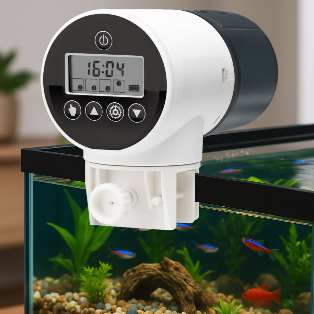 Distributeur automatique de nourriture pour poissons Bubbly avec écran numérique