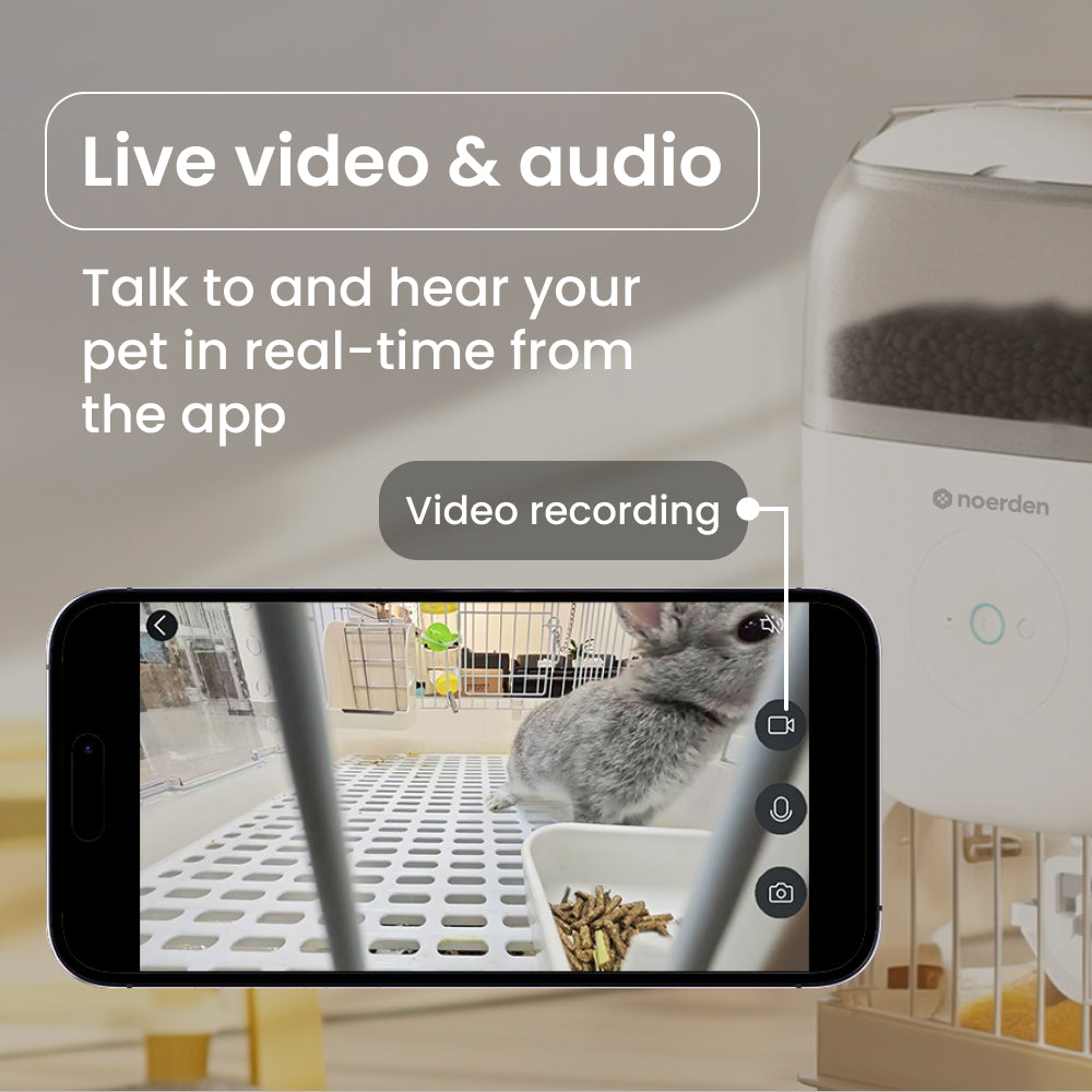 Mangeoire avec caméra Hoppy pour petits animaux