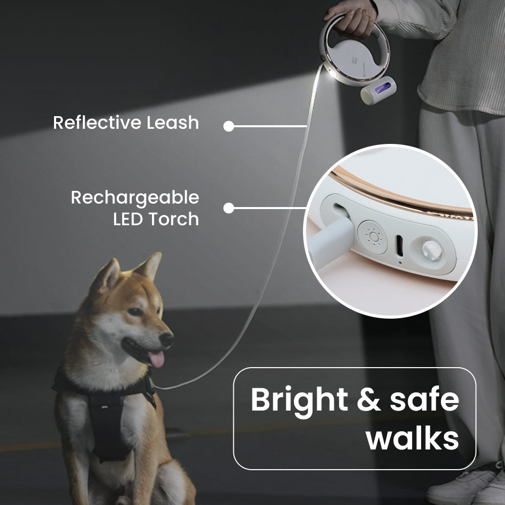 Lumi 4-in-1 Leash with LED torch & bag