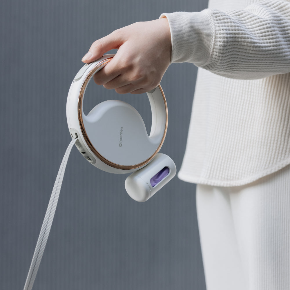 Lumi 4-in-1 Leash with LED torch & bag